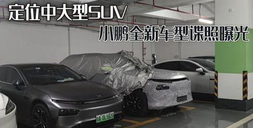 最新爆料车型大全视频,车型大全视频深度解析  第1张