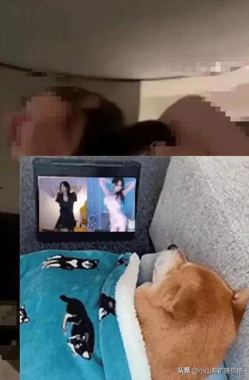 唐山爆料小伙视频播放下载,小伙视频播放下载引发热议，网友热议不断