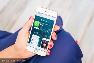 沙西米在线观看手机,手机端畅享美食电影之旅